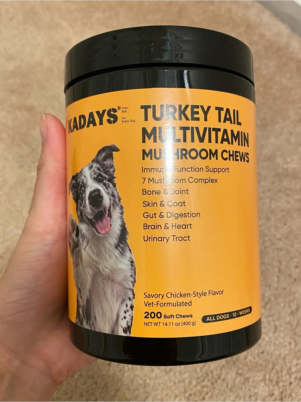 Bundle - NEW Dog Allergy Itch Relief Chews and Turkey Tail Multivitamin Chew
